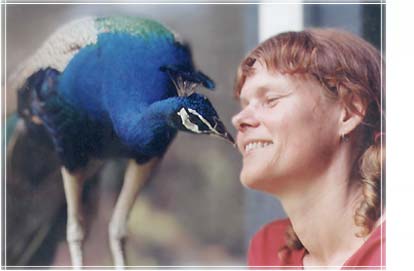 dolano with peacock "Tony"